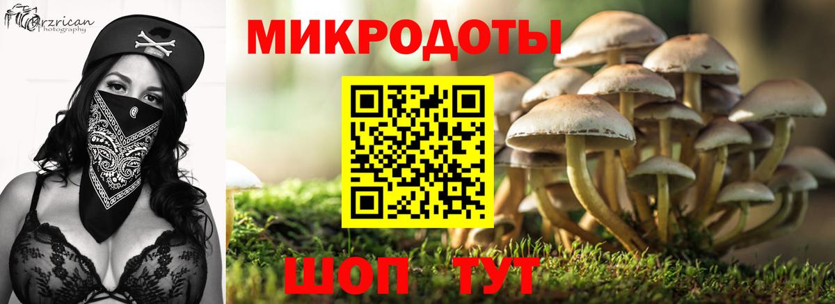 Галлюциногенные грибы Magic Shrooms Нижнекамск